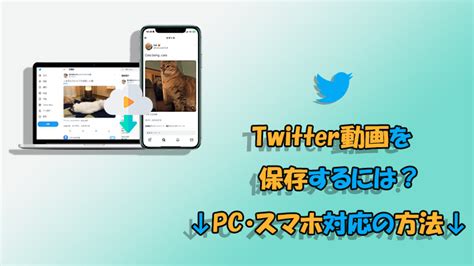 ツイッター動画ダウンロードランキング|2024最新！Twitter (X)動画保存ランキングサイトオス。